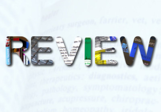 review your product big1