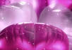 create a love video with your pictures and your messages for your Valentine small1