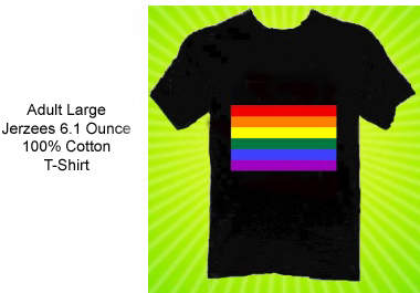 send you a Large Gay Lesbian LGBT Rainbow Flag Jerzees Tee big1