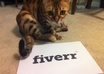 take a picture of one of my exotic cats with your logo or message
