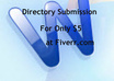do MANUALLY 200 Directory Submission+Report+Bonus free 10 Submission