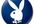 give you the playboy magazines since it first got printed,one year