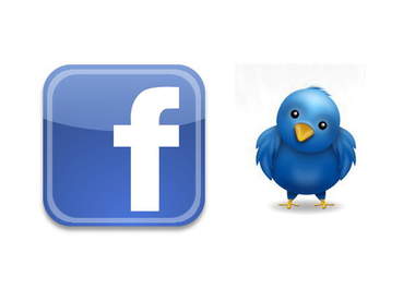 create For You a Custom Twitter Tab On Your Facebook Fan Page big1