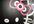 paint a Hello Kitty canvas