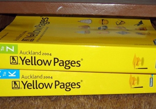 extract data from Yellow pages big1