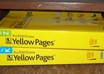 extract data from Yellow pages