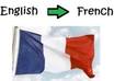 translate any text from english to french up to 500 words
