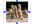 resize and crop up to 10 images or photos