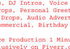professionaly produce up to 60 sec  dj drops, dj intros, personal greeting, radio drops, dj liner, dj name drop, audio commercial small1