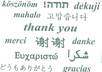 translate your text from one language to other