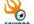 create and populate a squidoo lens about anything