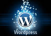 install the latest version of WordPress for you small1