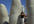 share my personal Punta del Este pictures