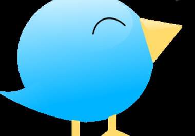 give you 500 followers in a new twitter account big1