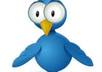 give you 300 likes to your facebook fans page within 24 hours