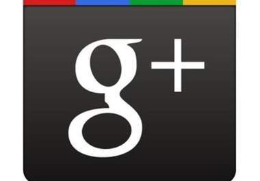 post your link/site manually to Google+ by 30 reliable and regular users big1