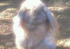 accept your love and appreciation and your tips small1