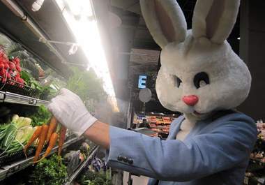 wear a bunny head and fancy suit and promote your business/website big1