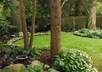 give you MRR 50 Garden and Landscape Art