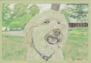 create a 3 X 5 colored pencil drawing of your pet big1