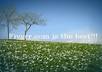 add 6 pictures and a comment to this Spring background small1
