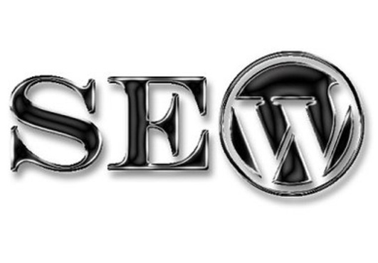 manually analyze onsite SEO of your Wordpress blog or site big1