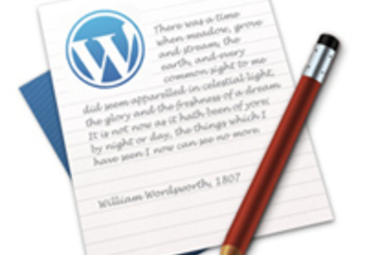do an Wordpress blog or site assessment and provide you with a report big1