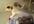run around my neighborhood/area in a full body cat suit screaming your message with video evidence