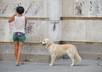 make 5 pictures black and white