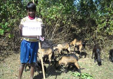 promote your business/brand name by Grazing Goat by Desi boy big1
