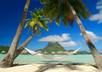 show you a way to travel with the cheapest prices