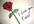 draw and color up a rose and write your any message