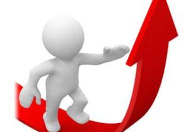 send you a complete 50+ pages indepth ibp SEO optimization and ranking report for your website big1