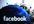 give you 310+ guarenteed facebook, facebook likes / fans in 2 DAYS