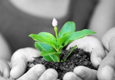 convert your image to black and white and isolate the colors of your choice big1