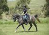 give you a horseriding lesson if you send me a video of you riding