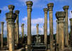 give you high quality rare photos of Sri Lankan ruins
