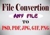 File conversion photo shop