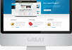Free-website-video-review