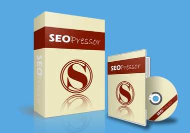 do a complete professional on page seo upto 2 pages of your site to any keyword you want to rank in search engines big1