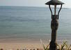 write and send a personal 100 word love letter written in Thai to your Thai Girlfreind or boyfreind small1
