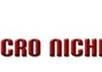 give You  My Complete Collection of 300 Niches with keywords plus Bonus Report on 10 steps Blueprint to Micro Niches Sites