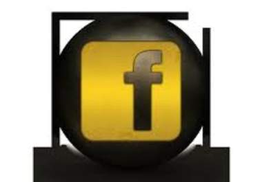 give you 300 facebook users subscribe to your feed in 3 days big1