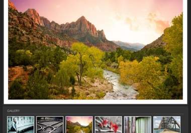 provide you with new genesis framework and 40 plus wordpress themes with bonus big1