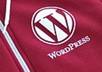 Wordpress conversion