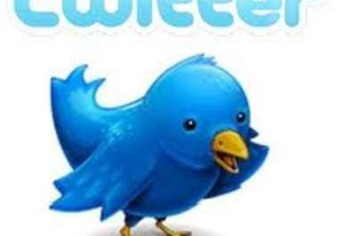 add guaranteed  US 500 Twitter Followers to your Twitter Account within 72 hrs big1
