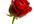 put your site on my Health and Beauty Blogroll Permanently