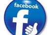 give your FB fanpage 500+ likes instantly