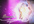 customize this romantic video intro
