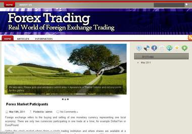 give you a Wordpress Blog script about Forex big1